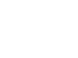 BISNE México-marketing-publicidad-puebla