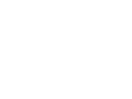 Golden Data-marketing-publicidad-puebla