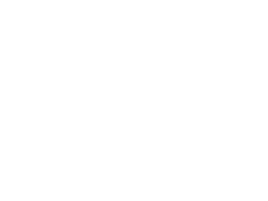 Productos Estrella BCA-marketing-publicidad-puebla